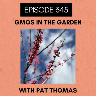 episode Episode 345: GMOs in the Garden artwork