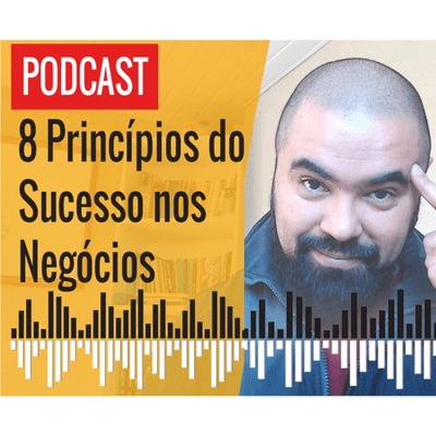 episode 8 Princípios do Sucesso nos Negócios artwork