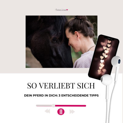 episode Vertrauen aufbauen: 3 Tipps für echte Pferdefreundschaft artwork