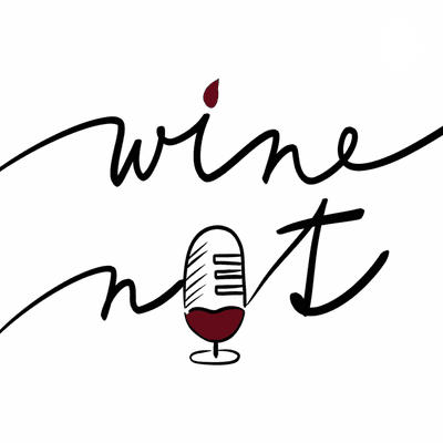 episode #5 WN! Vánoční artwork