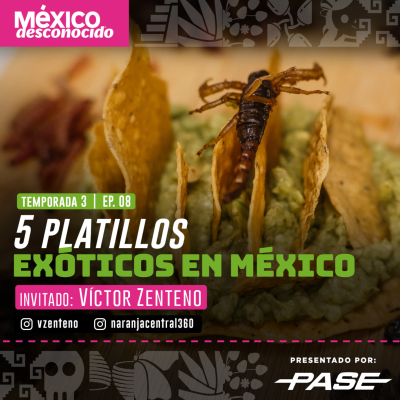 episode México Desconocido T3 | E8 - 5 Platillos exóticos en México con Víctor Zenteno artwork
