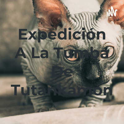 Expedición A La Tumba De Tutankamón