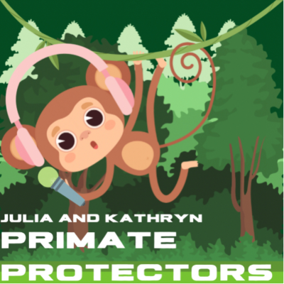 episode Primate Protectors: Jane Goodall artwork