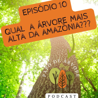 episode Episódio 09 - Qual a árvore mais alta da Amazônia? artwork