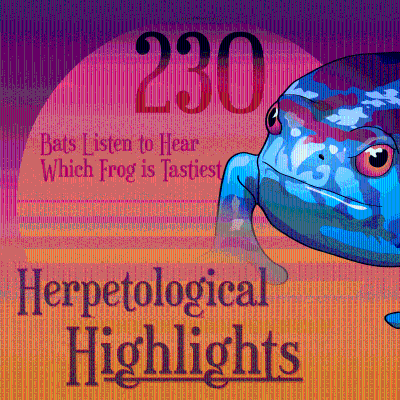 episode 230 Bats Listen to Hear Which Frog is Tastiest artwork