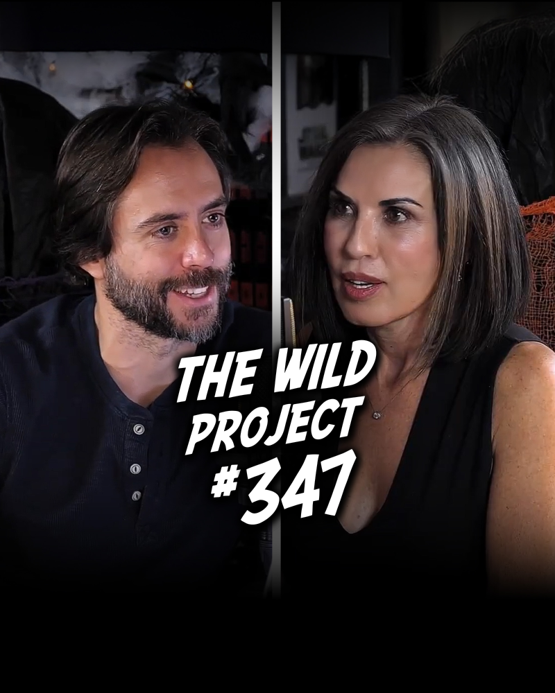 Imagen de portada del espectáculo The Wild Project