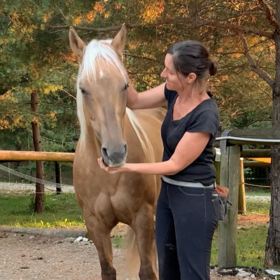 episode S6 E6: Blondie's New Life - with Dr Michaela Hempen artwork