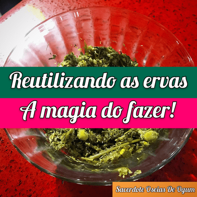 episode Reutilizando as ervas. artwork