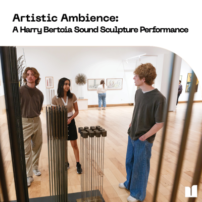 episode Artistic Ambience: A Harry Bertoia Sound Sculpture Performance artwork