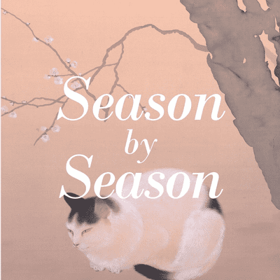 episode The Beginning of Spring artwork