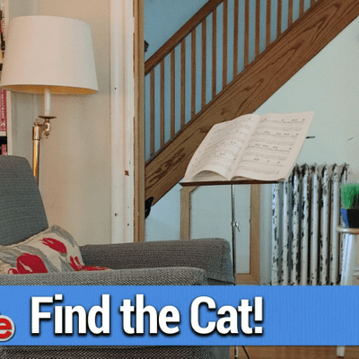 episode TWiG 578: Find the Cat - Pixel 5 Rumors, TikTok Drama, DOJ vs Google artwork