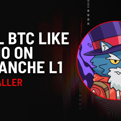 episode Email BTC Like Venmo On Avalanche L1 with Excel Baller | DeFi Podcast #70 artwork