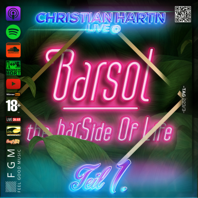 episode Christian Hartn Live @ BarSol -Teil 1 artwork