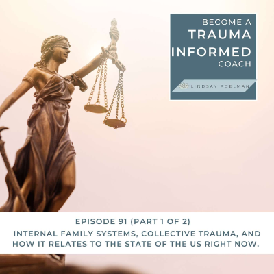 episode IFS, Collective Trauma, & How it relates to the USA - Part 1 of 2 artwork