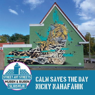 episode MUUR: Nicky Nahafahik Panter“Calm saves the day” artwork