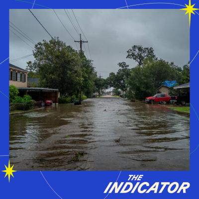 episode Can you afford to evacuate ahead of a disaster? artwork
