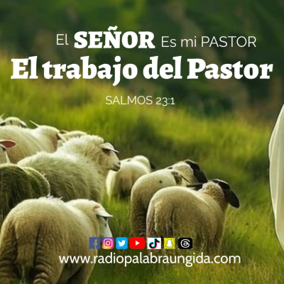 episode El tarabajo del Pastor /Edgar Calderon/Palabra Ungida artwork