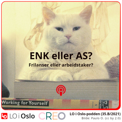 episode Frilanser eller arbeidstaker? Del 2 (35.B/21) artwork