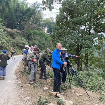 episode Birding in Bhutan artwork