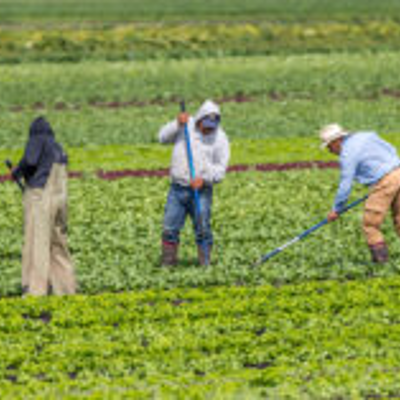episode S4E2: Protecting Farm Workers' in the Heat of Climate Change with Jeannie Economos and Dominique O'Connor artwork