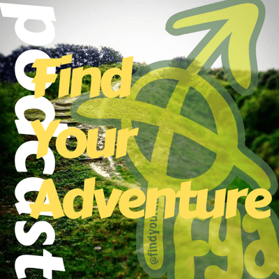 episode FYA - Claire Maxted of Wild Ginger Running artwork