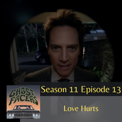 episode 11.13: Love Hurts artwork