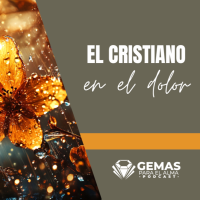 episode El Cristiano en el Dolor: ¿Y si ese abismo era para enseñarte a volar? artwork