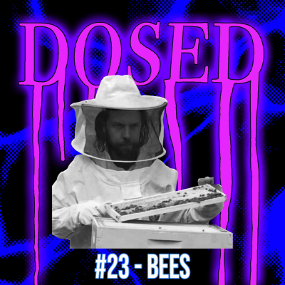 episode #23 - Bees artwork