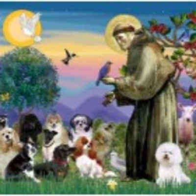 episode 5 October 2025 - Season of Creation week 5 - St Francis of Assisi day & celebration of animals. Whole Service artwork