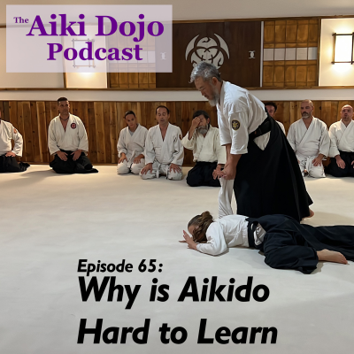 episode Why is Aikido Hard to Learn artwork