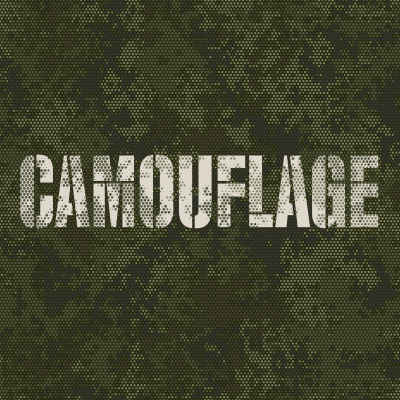 episode Hide and Seek: The History of Camouflage artwork