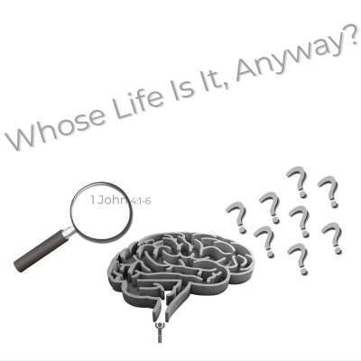 episode Whose Life Is It, Anyway? artwork