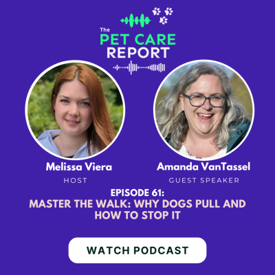 episode Amanda VanTassel | Master the Walk: Why Dogs Pull and How to Stop It | E61 artwork