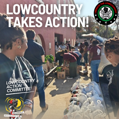 episode Lowcountry Takes Action! with the Lowcountry Action Committee artwork