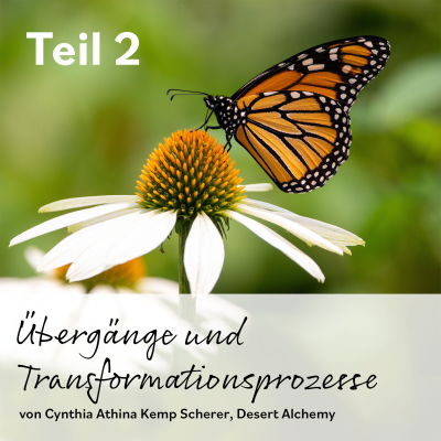 episode Übergänge und Transformationsprozesse – Teil 2 artwork