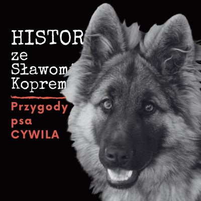 episode Tragiczne losy pupila z serialu Przygody psa cywila. Historia z Koprem artwork