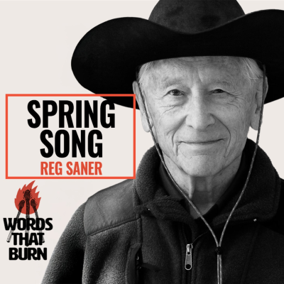 episode Spring Song by Reg Saner artwork