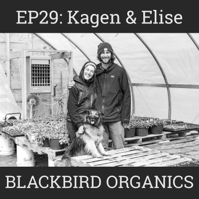 episode High Tunnels & Field Crops, the Farming Journey of Kagan & Elise of Blackbird Organics: EP29 artwork
