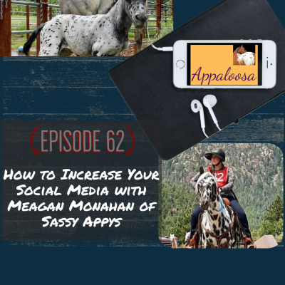 episode How to Increase Your Social Media with Meagan Monahan of Sassy Appys artwork
