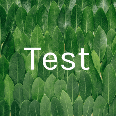 episode Test med silje artwork