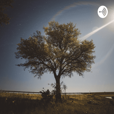 episode About Us artwork