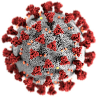 Sars-Cov2 ICB 2 Facmed