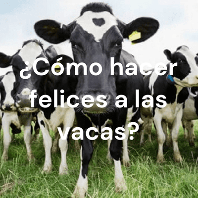 ¿Cómo hacer felices a las vacas?