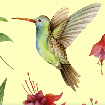 episode LA LEYENDA DEL COLIBRI MAYA artwork
