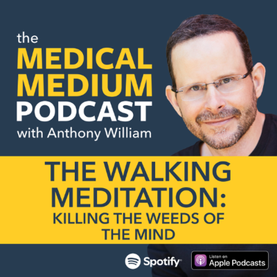 episode 110 The Walking Meditation: Killing The Weeds Of The Mind artwork