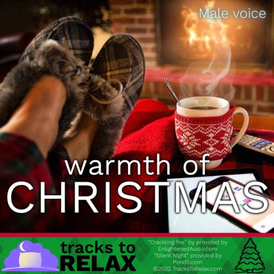 episode The Warmth Of Christmas artwork