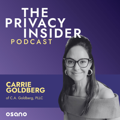 episode TAKE IT DOWN: Online Abuse and Harassment with Carrie Goldberg of C.A. Goldberg, PLLC artwork