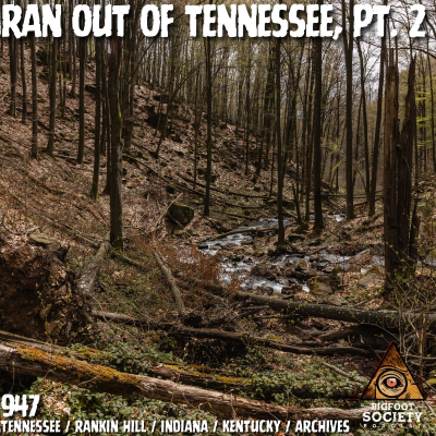 episode Bigfoot Ran Us Out of Tennessee Pt. 2: The Mammoth Cave Encounters | Archives artwork
