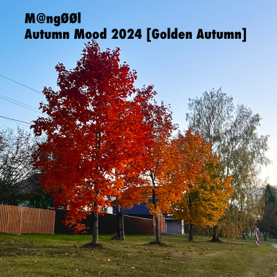 episode M@ngØØl - Autumn Mood 2024 [Golden Autumn] artwork