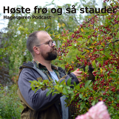 episode 36/25: Tilbakeblikk - Høste frø og så stauder med Tommy Tønsberg artwork